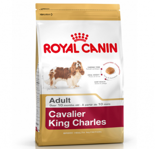 Royal Canin Cavalier King Charles Adult 3 kg Köpek Maması kullananlar yorumlar